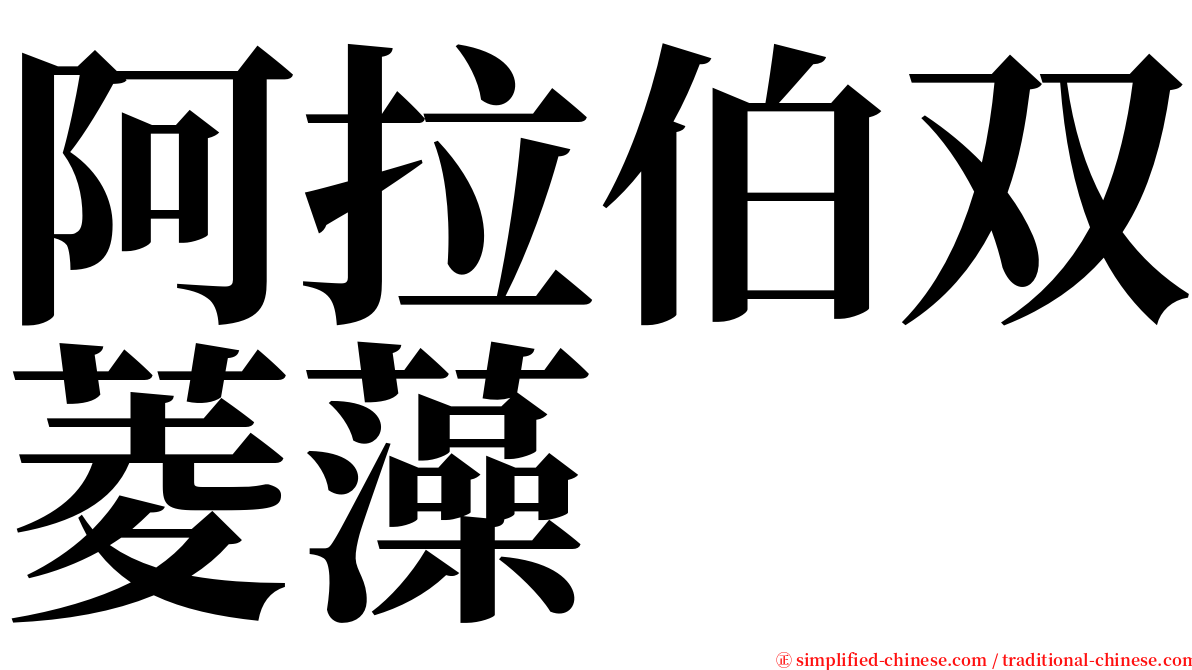 阿拉伯双菱藻 serif font