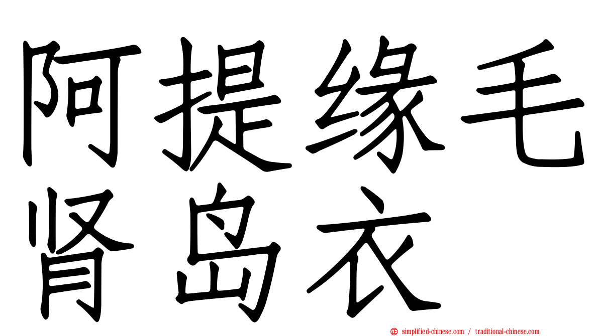 阿提缘毛肾岛衣