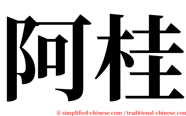 阿桂 serif font