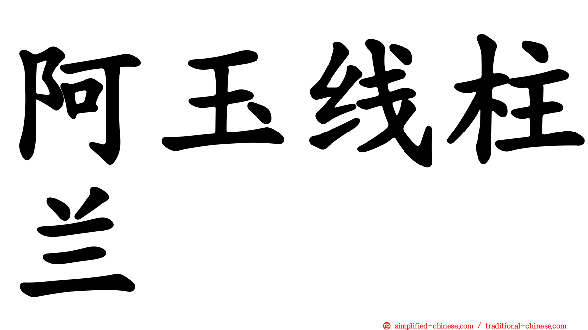 阿玉线柱兰