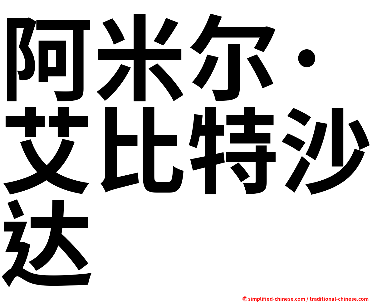 阿米尔·艾比特沙达