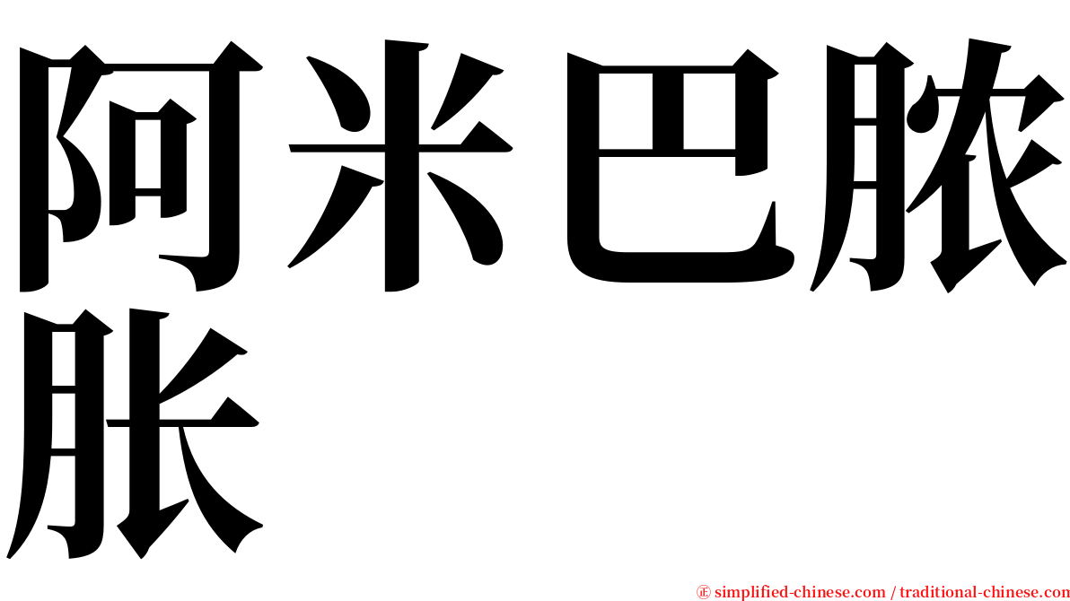 阿米巴脓胀 serif font