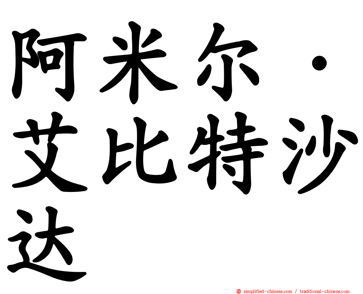 阿米尔·艾比特沙达