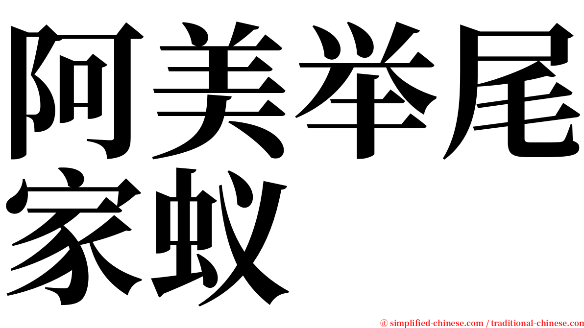 阿美举尾家蚁 serif font