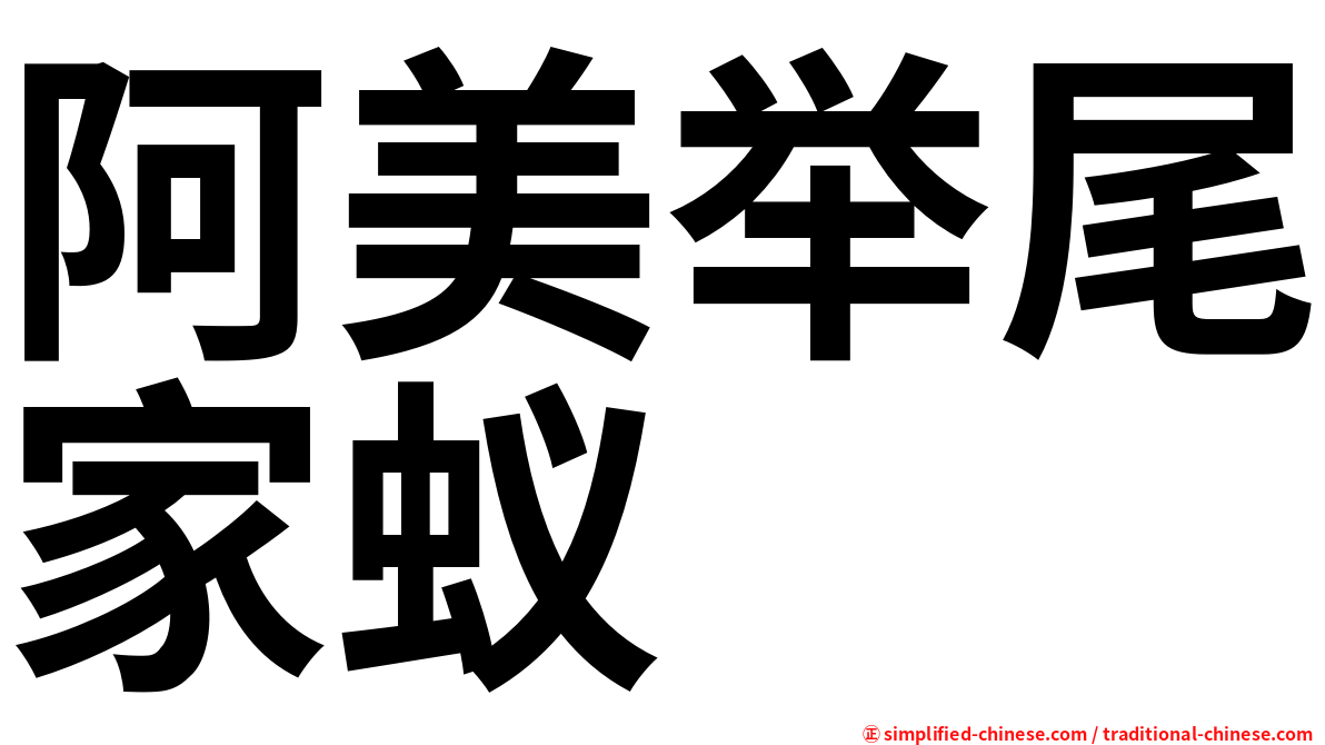 阿美举尾家蚁