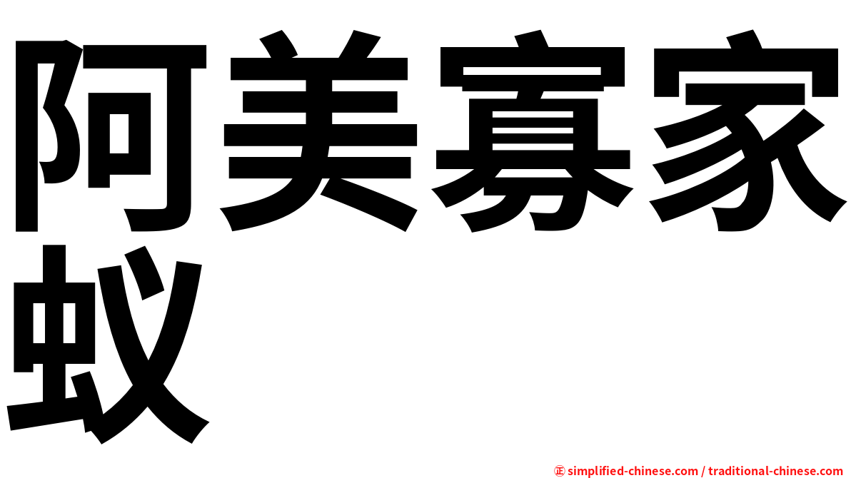 阿美寡家蚁