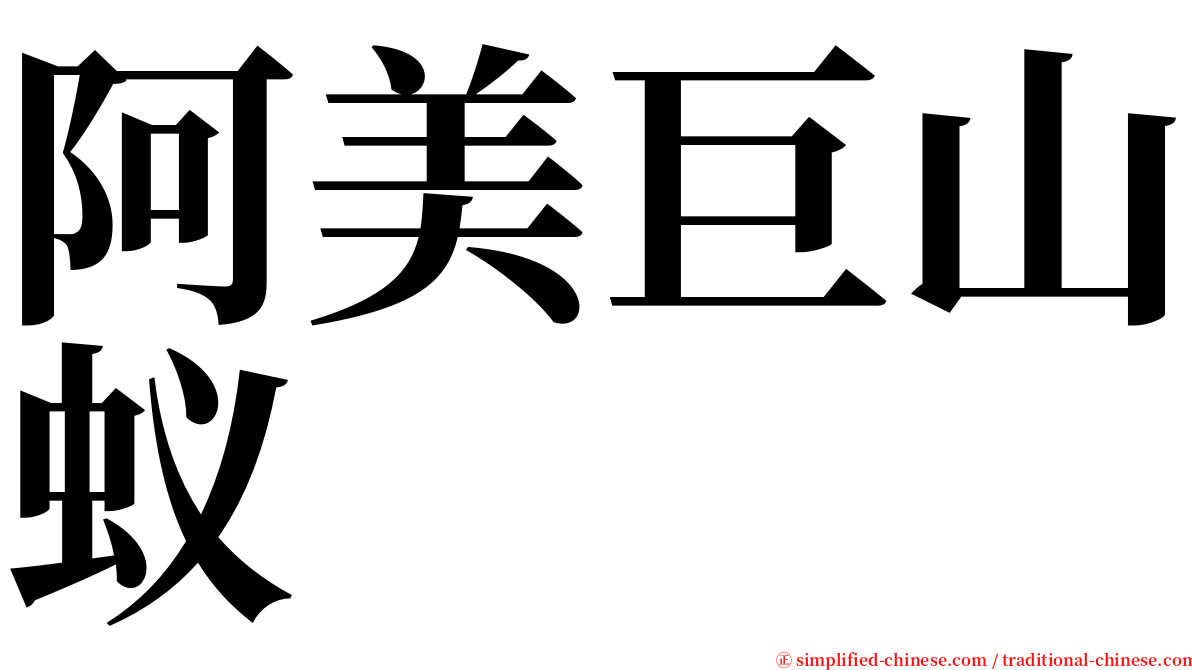 阿美巨山蚁 serif font