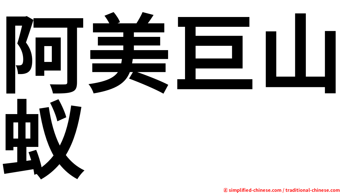 阿美巨山蚁