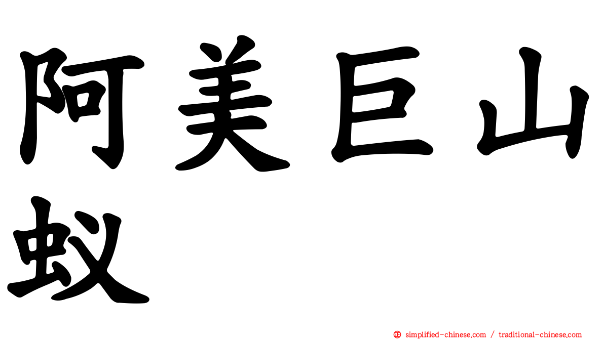 阿美巨山蚁
