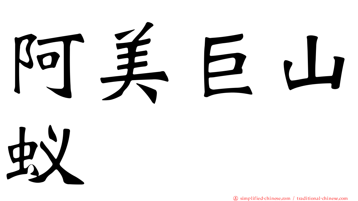 阿美巨山蚁