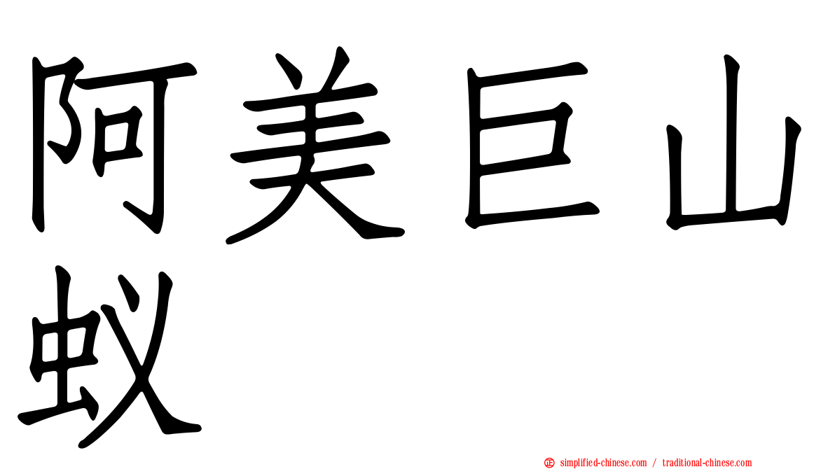阿美巨山蚁