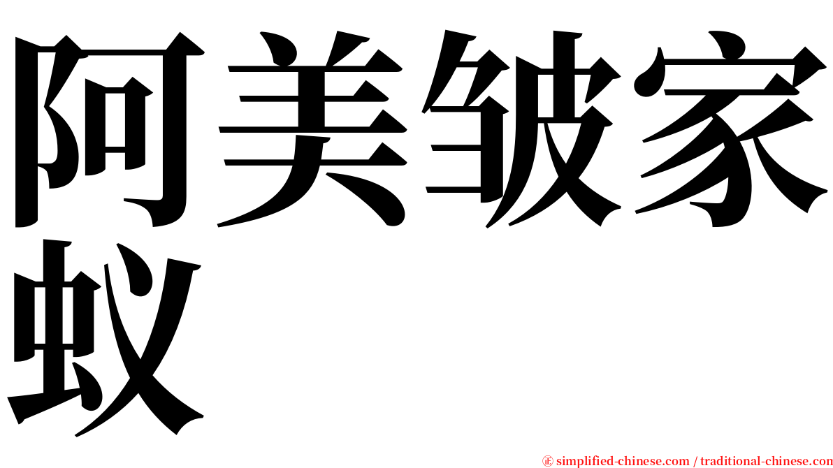 阿美皱家蚁 serif font