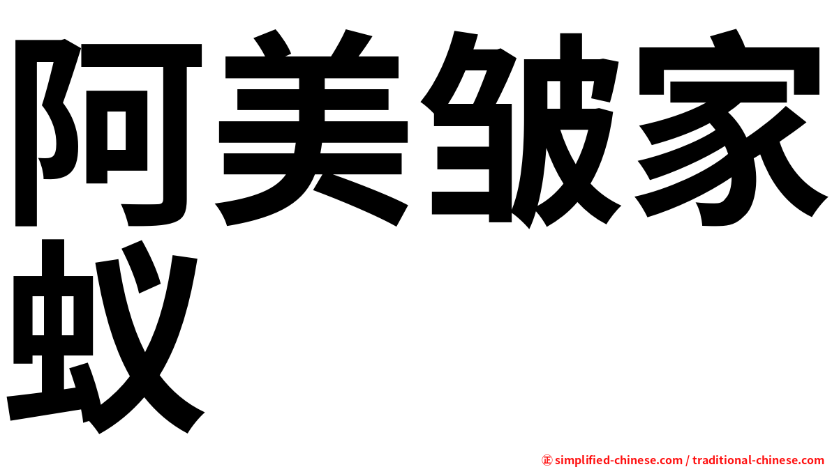 阿美皱家蚁