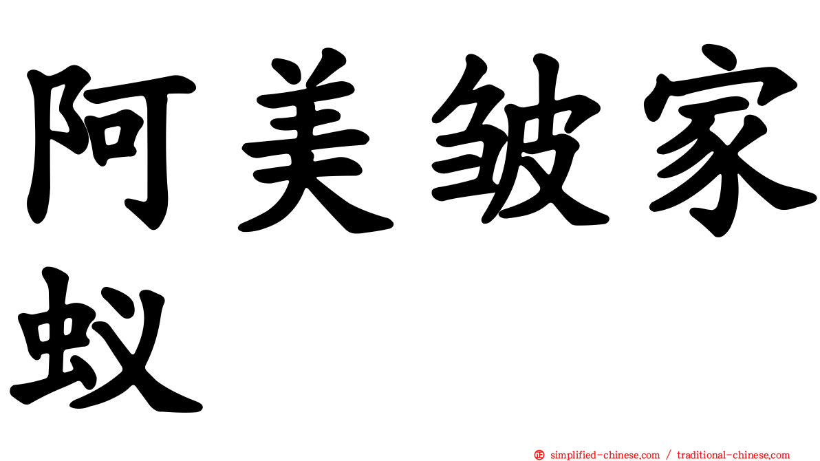 阿美皱家蚁