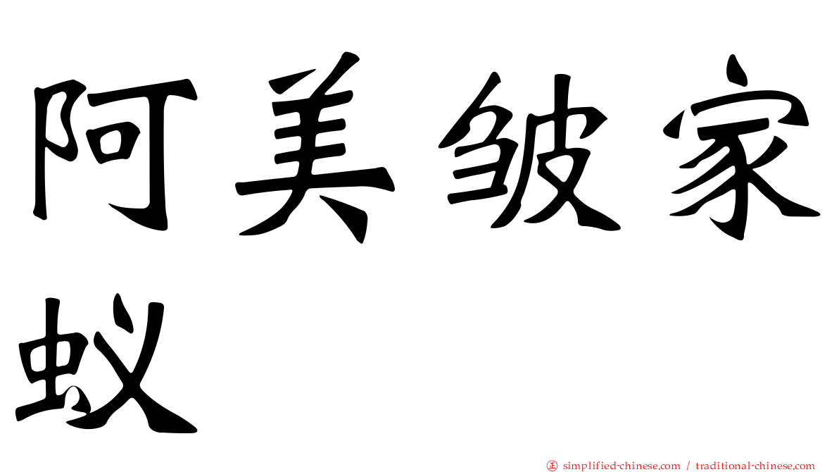 阿美皱家蚁