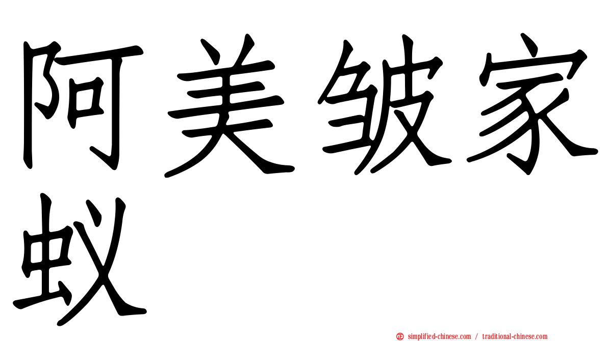 阿美皱家蚁