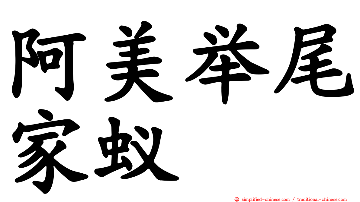 阿美举尾家蚁