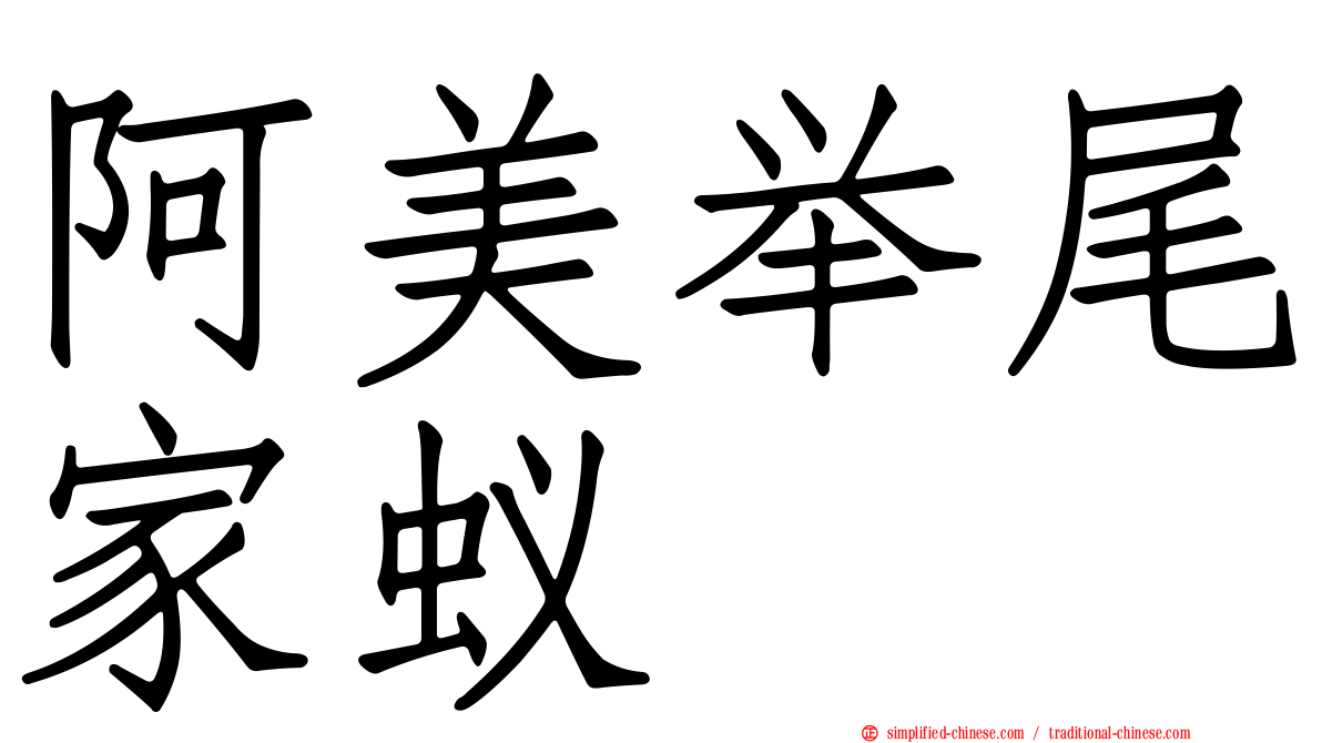 阿美举尾家蚁