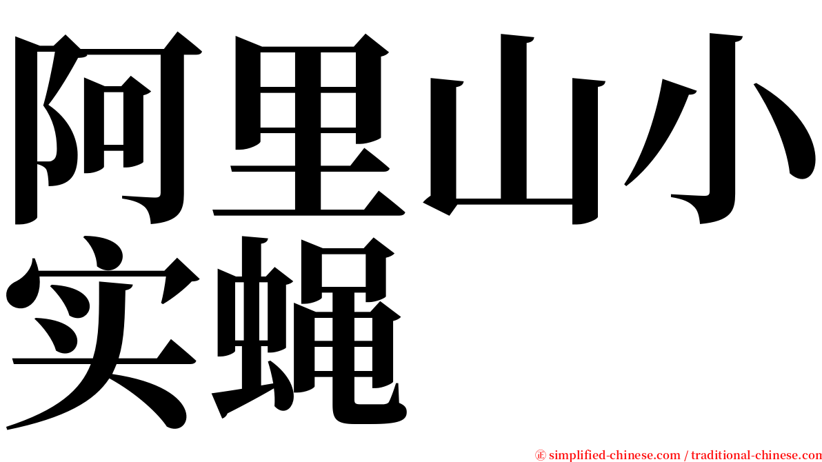 阿里山小实蝇 serif font