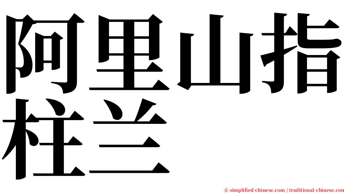 阿里山指柱兰 serif font