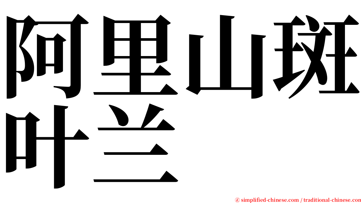 阿里山斑叶兰 serif font