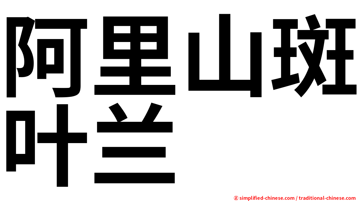 阿里山斑叶兰