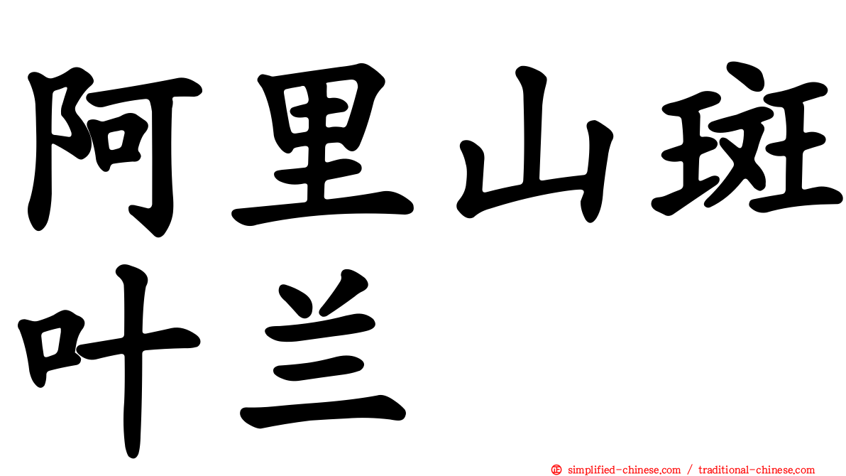 阿里山斑叶兰