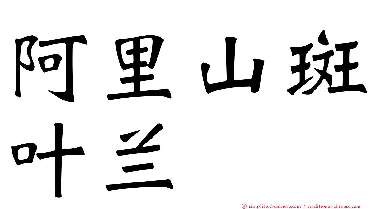 阿里山斑叶兰