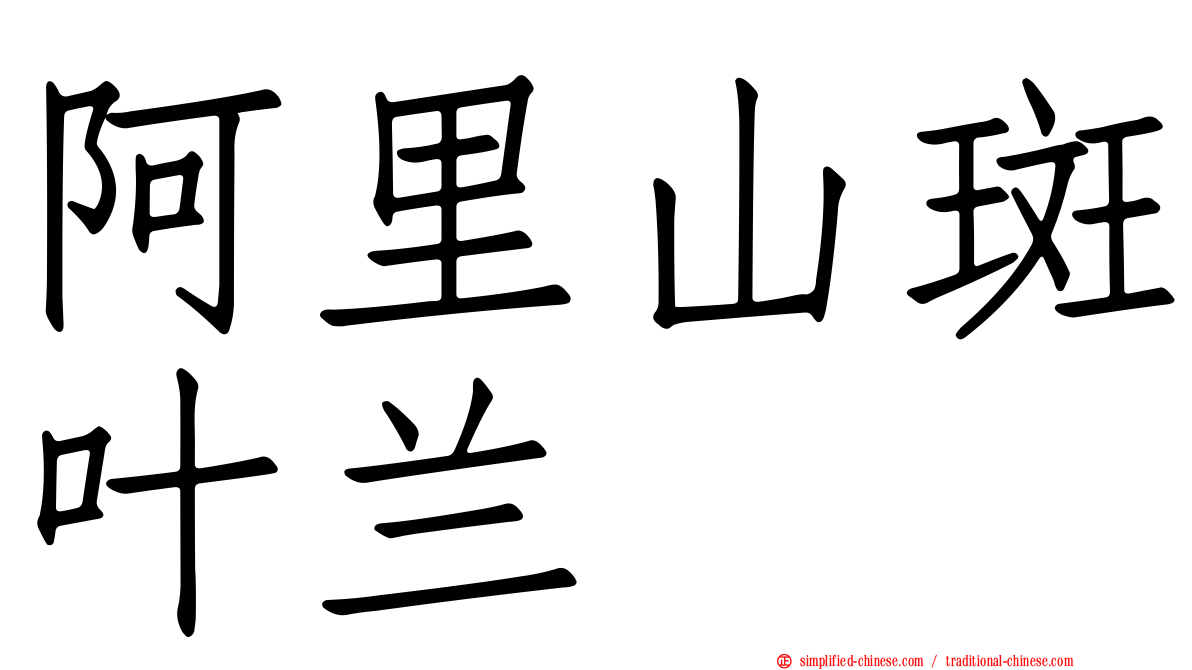 阿里山斑叶兰