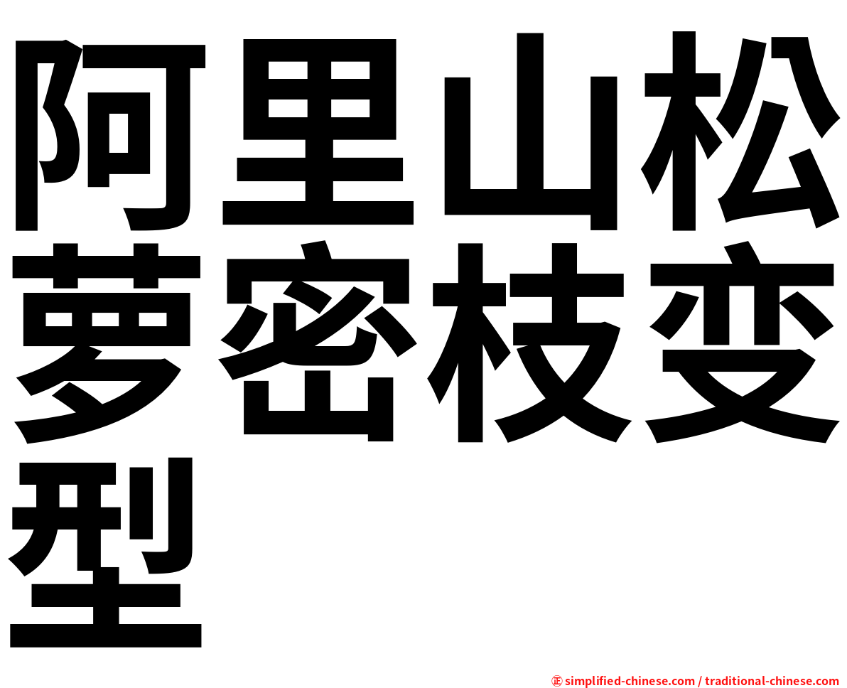 阿里山松萝密枝变型