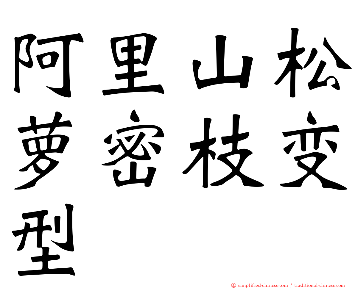 阿里山松萝密枝变型