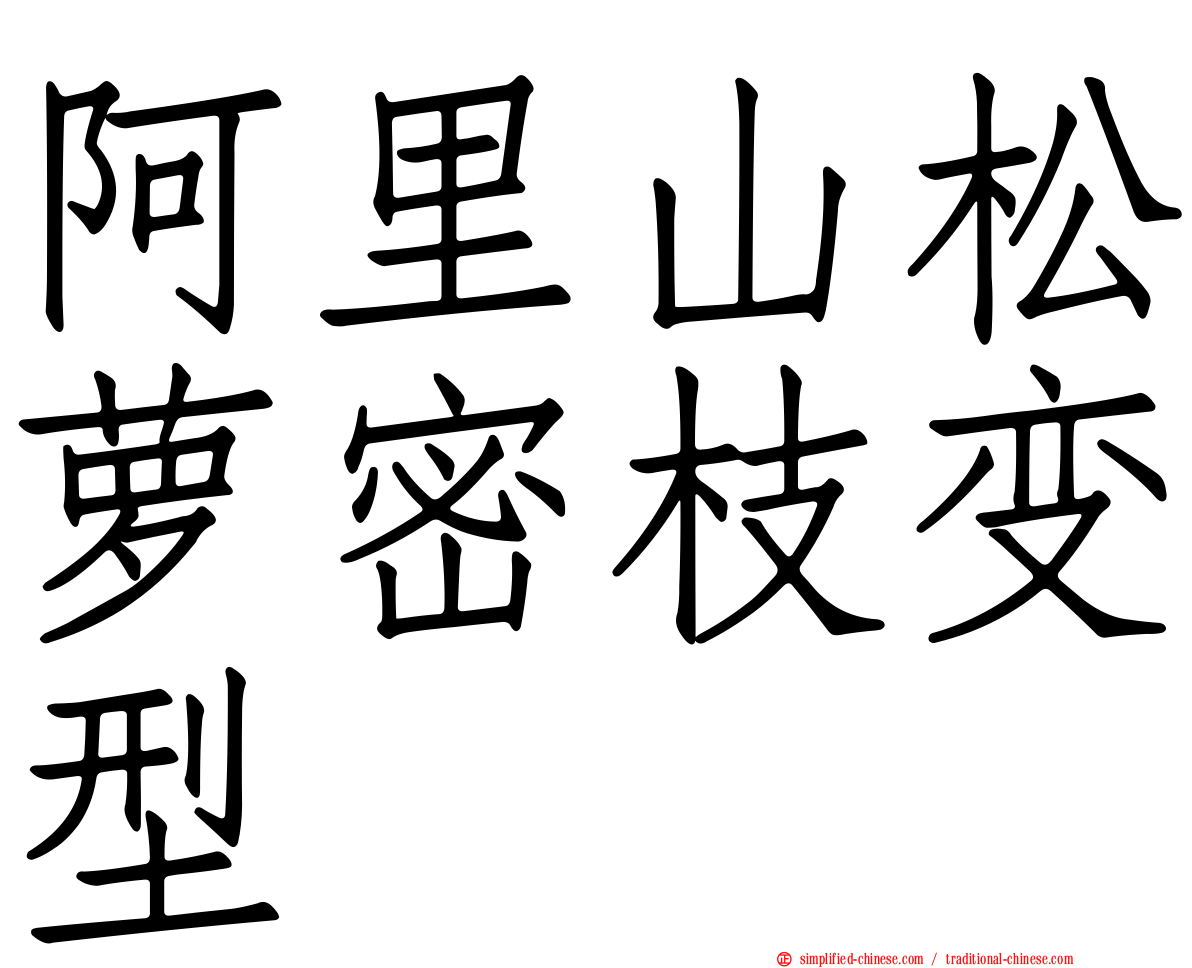 阿里山松萝密枝变型
