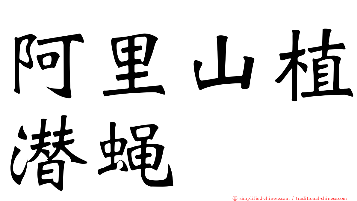 阿里山植潜蝇