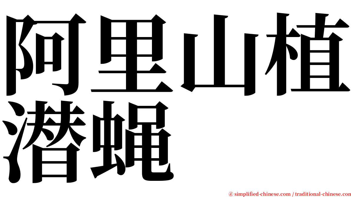 阿里山植潜蝇 serif font