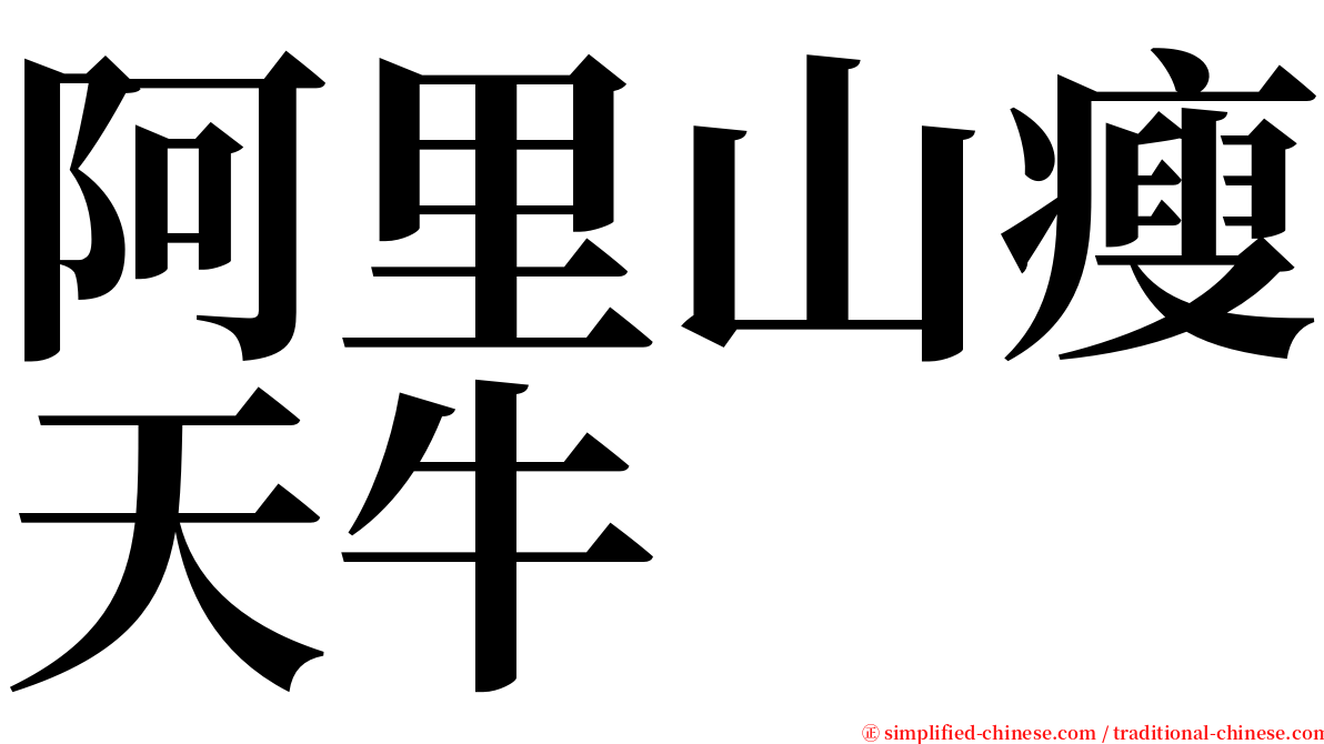 阿里山瘦天牛 serif font