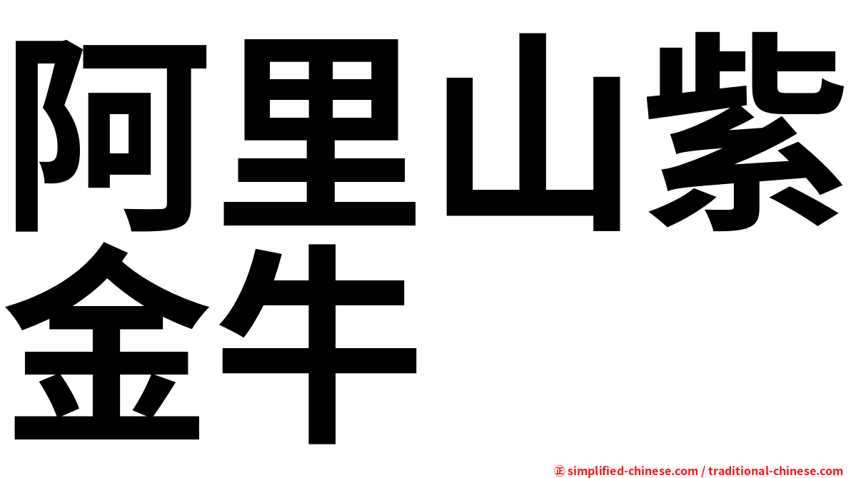 阿里山紫金牛