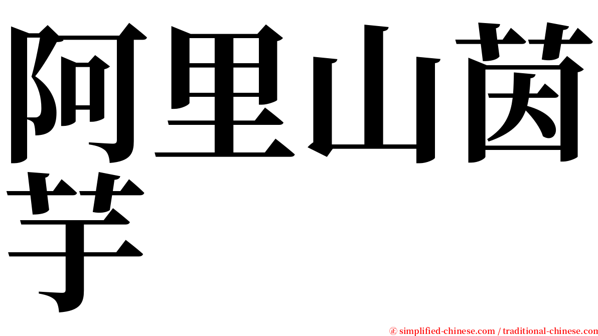 阿里山茵芋 serif font