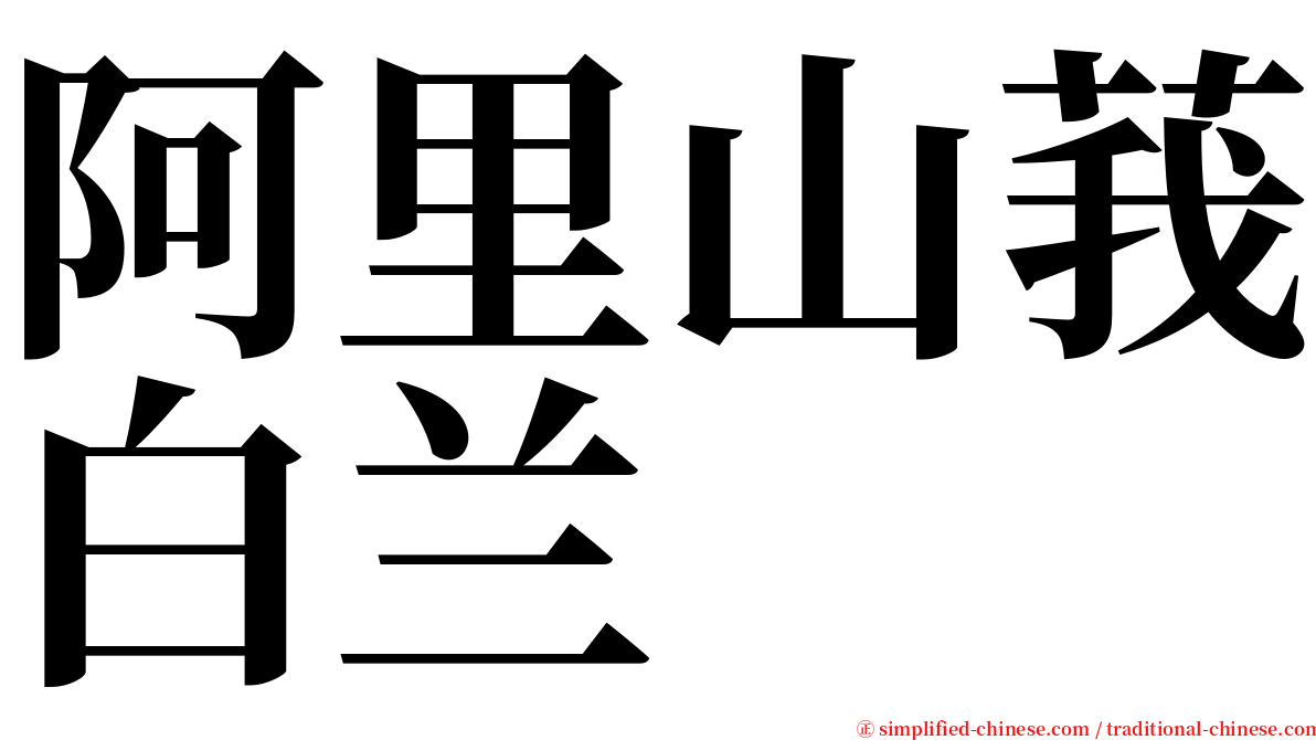 阿里山莪白兰 serif font