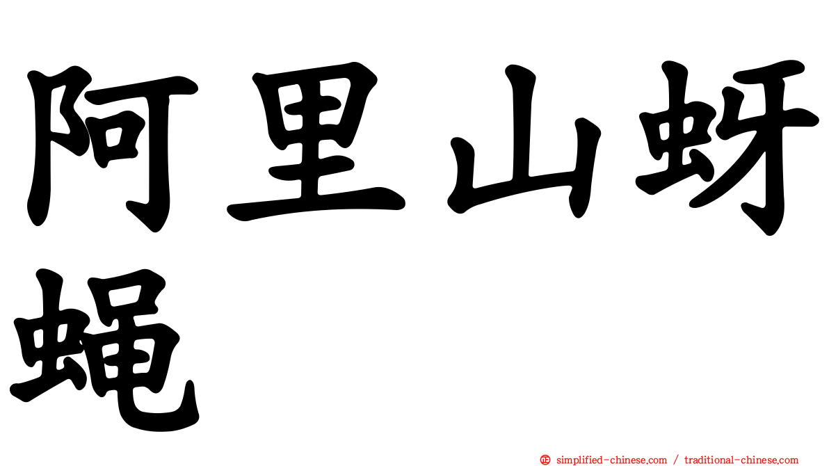 阿里山蚜蝇