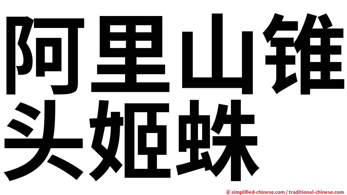 阿里山锥头姬蛛