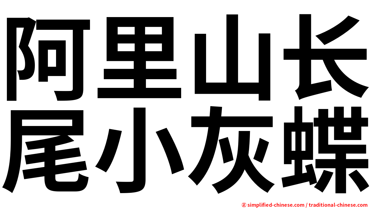阿里山长尾小灰蝶