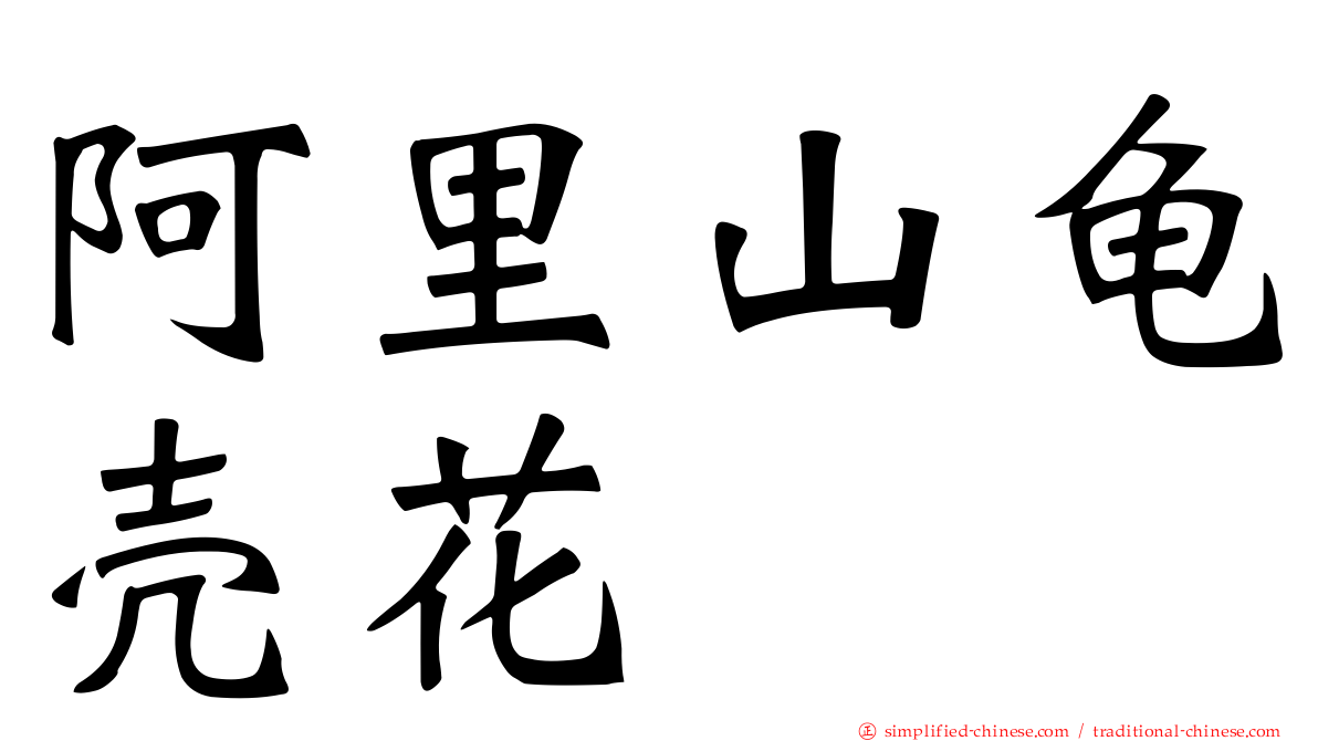 阿里山龟壳花