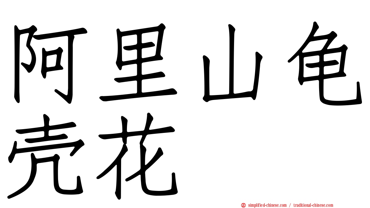 阿里山龟壳花
