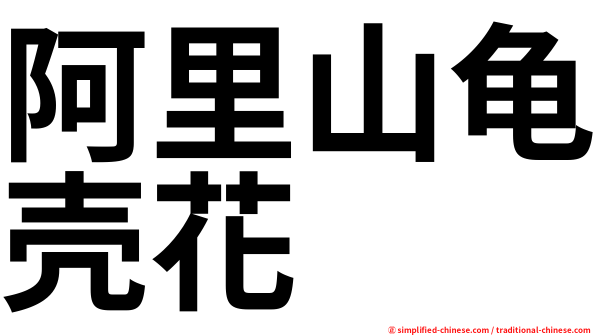 阿里山龟壳花