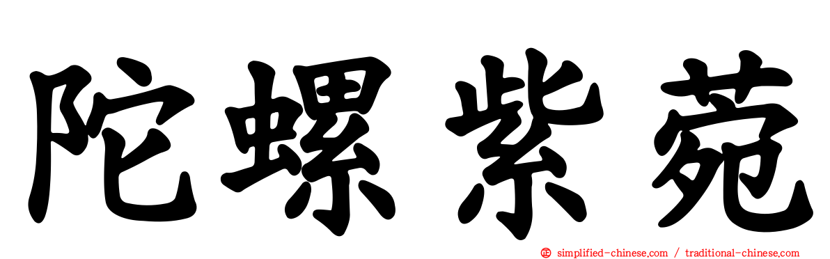 陀螺紫菀