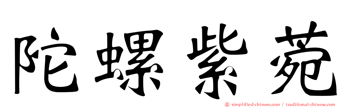 陀螺紫菀