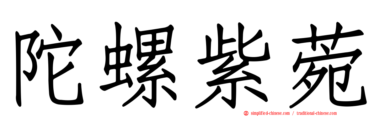 陀螺紫菀