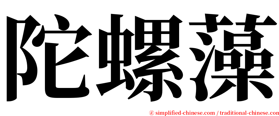 陀螺藻 serif font