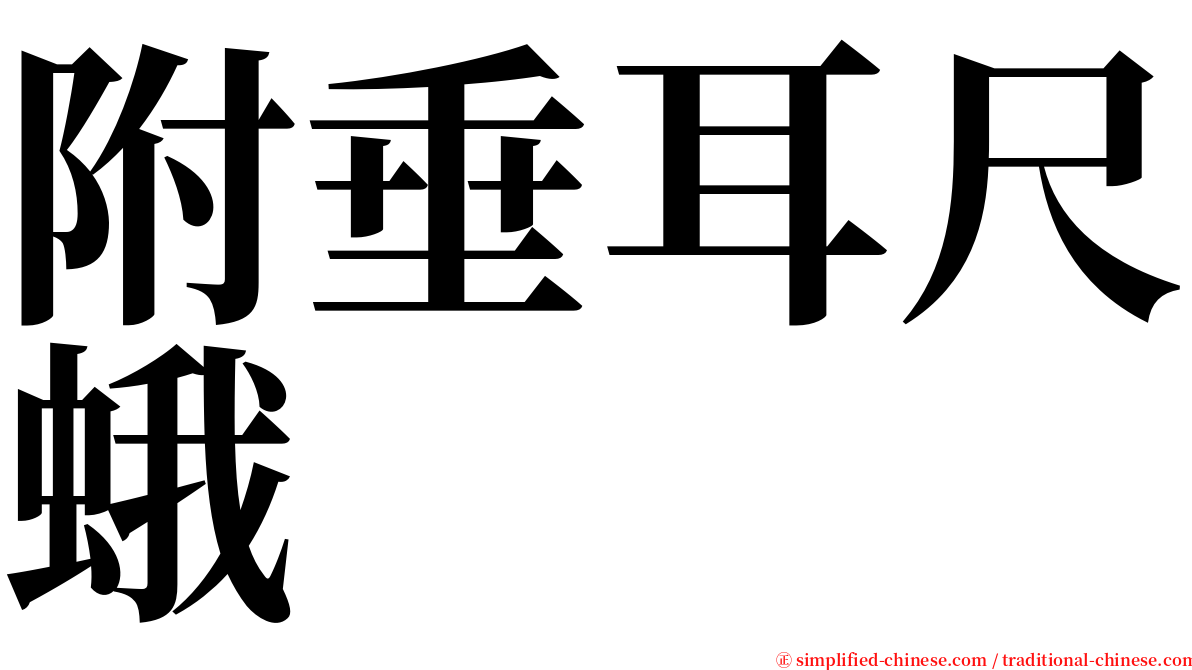 附垂耳尺蛾 serif font