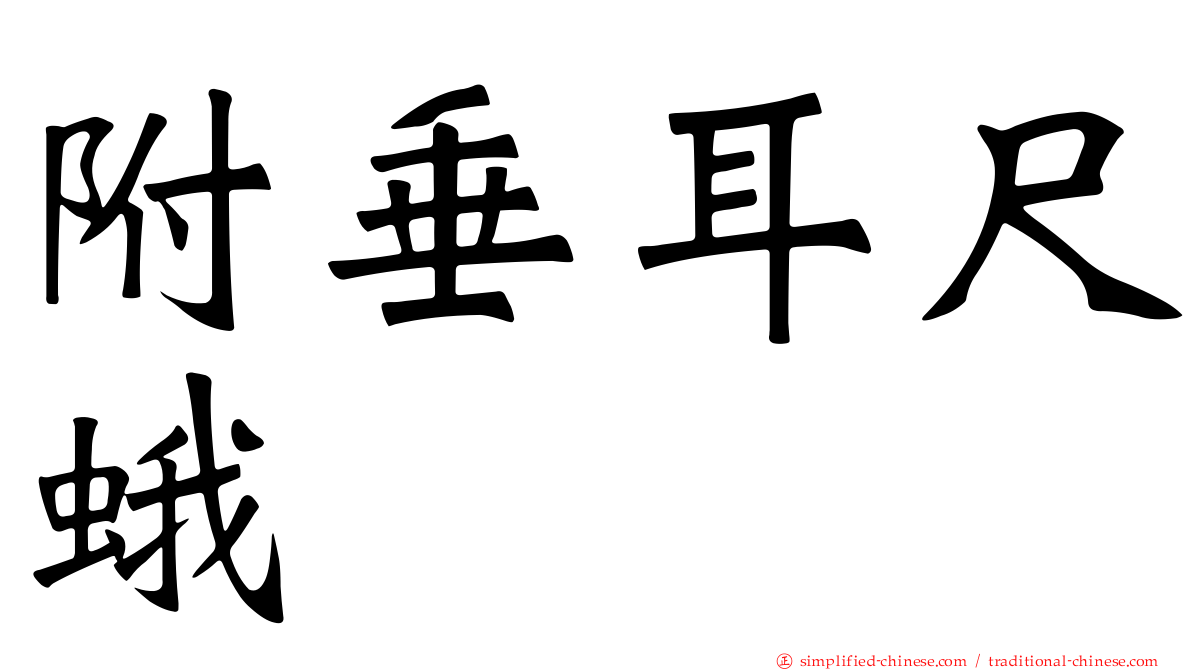 附垂耳尺蛾
